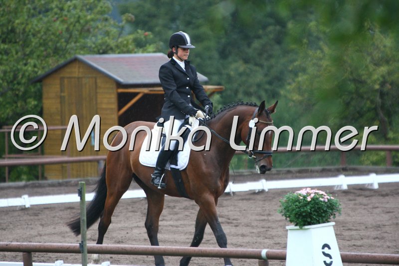 009M8454_Ready to fly_Dressurpf A.JPG